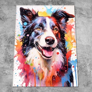 Border Collie Art Print or Canvas - Sheep Dog Painting - Dog Groomers Painting Art Memorial Gift - Dog Lover Gift - A5, A4, A3, A2 etc