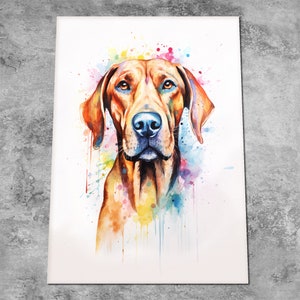 Rhodesian Ridgeback Watercolour Dog Print - Pet Portrait Art - Vizsla Poster Painting - Colourful Art Dog Memorial Gift - Canvas or Print