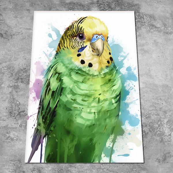 Green Budgie Pet Portrait - Budgerigar Art Print - Bird Watercolour Painting Picture - Contemporary Traditional Style - Print or Canvas