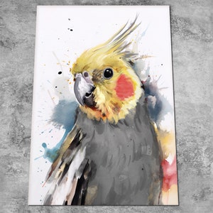 Cockatiel Art - Watercolor Painting Tiel Print - Pet Yellow and Grey Cockatiel Gift - Watercolour Contemporary Decor - Print or Canvas