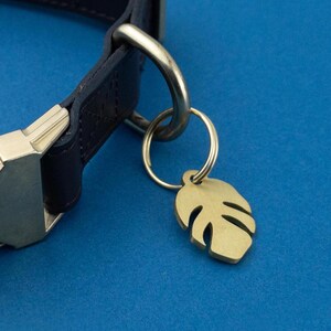 May include: A black leather dog collar with a silver buckle and a brass leaf-shaped tag attached to a silver ring.