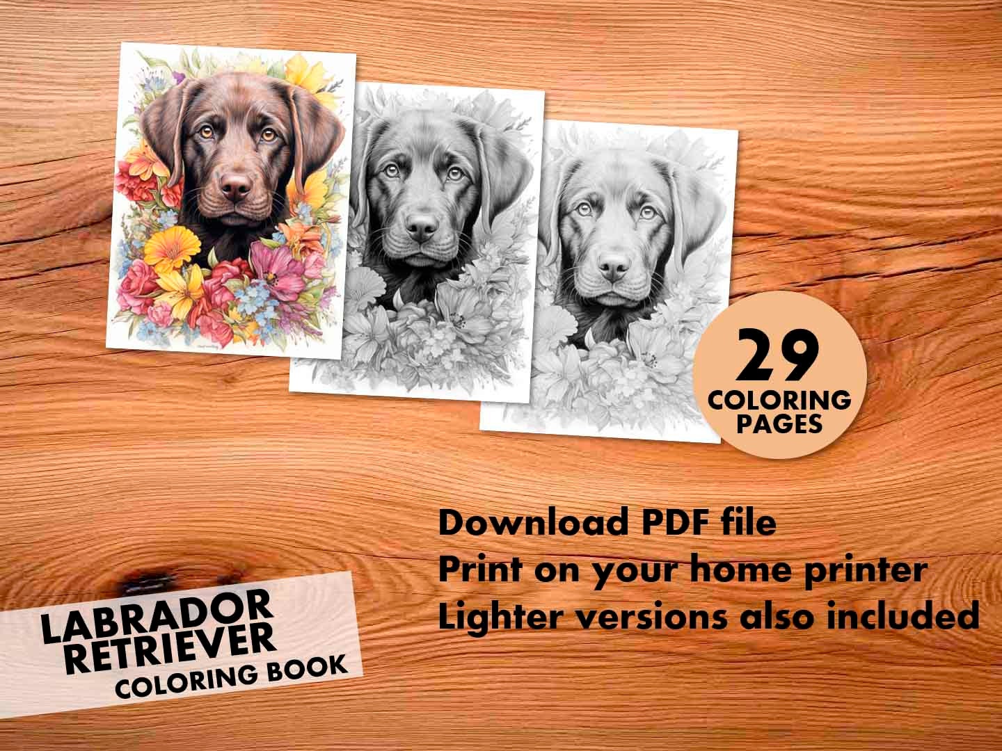 Labrador Retriever Coloring Pages for Adults and Kids - Etsy