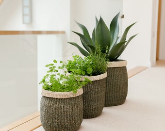 Baskets with contrast rim - set of three