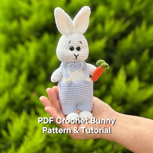 PDF Bunny Crochet Simple Pattern, Crochet Toy Tutorial, Crochet Animal Pattern Rabbit ENG