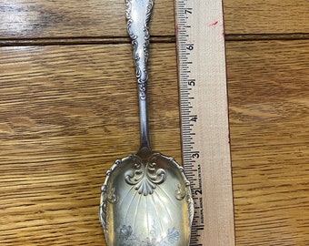 Spoon, Rogers silverplate serving spoon