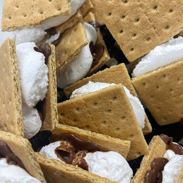 Freeze Dried Give Me Smores Snack