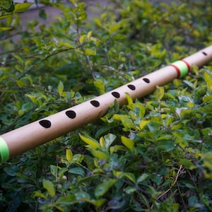 May include: A bamboo flute with a natural finish, featuring eight finger holes and decorative bands of red, green, and black near the mouthpiece. The flute rests on a bed of green foliage.