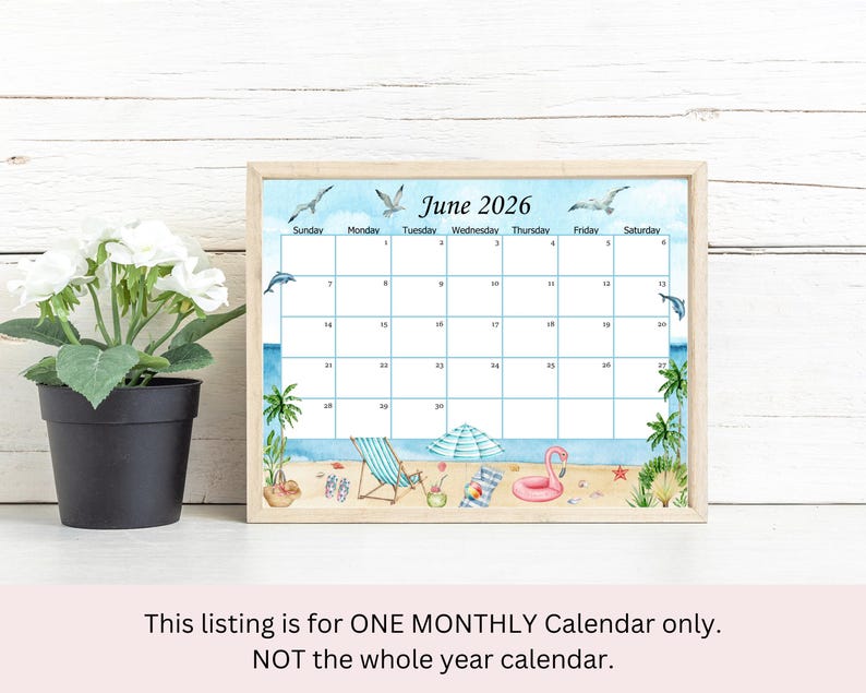 May include: A framed June 2026 calendar with a beach theme. The calendar features illustrations of seagulls, dolphins, palm trees, and beach accessories. A potted plant with white flowers sits to the left of the calendar.