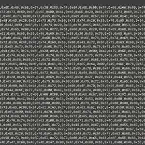 Puede incluir: Una pantalla de ordenador gris oscuro que muestra líneas de código que comienzan con la palabra data seguida de valores hexadecimales entre paréntesis, organizadas en filas numeradas del 12 al 18, con fondo negro y texto blanco.