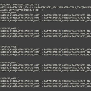 Puede incluir: Un fragmento de código informático gris oscuro que se muestra en una pantalla, con una función llamada RAMPAGERAIDERS_0242 con múltiples casos switch y asignaciones de variables. El texto incluye la URL discord.gg/orla en la línea 2613.