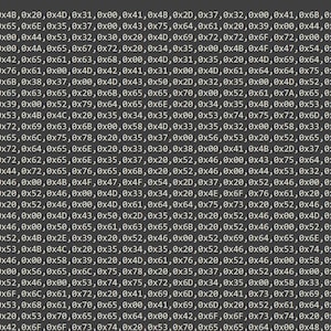 Puede incluir: Una pantalla de ordenador gris oscuro que muestra un bloque de código de programación que comienza con la palabra data seguida de una larga secuencia de valores hexadecimales entre paréntesis, organizados en varias filas con texto blanco sobre fondo oscuro.