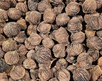 Black Walnuts 1lb