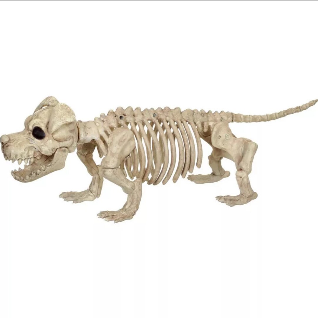 Skeleton Dog Decoration 20in X 6.5in Etsy