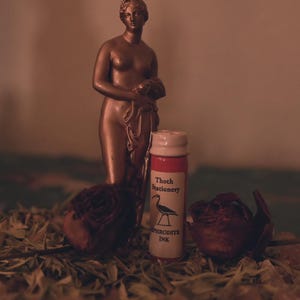 Puede incluir: Una pequeña botella roja con una etiqueta blanca que dice "Thoth Stationery, Avocet Ink". La botella está sobre una mesa con una pequeña estatua de bronce de una mujer y flores secas.