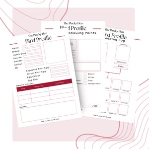 Livro de exercícios sobre perfis de pássaros