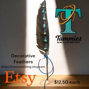 Decorative Feathers