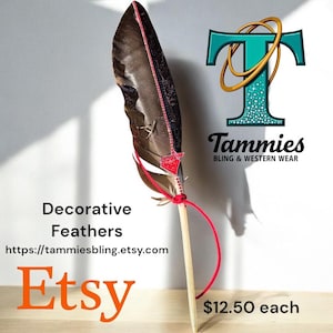 Decorative Feather