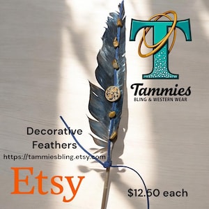 Decorative Feathers