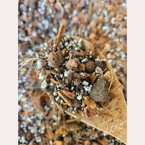 May include: Close-up of a wooden spoon filled with a mixture of brown soil, small white pebbles, and wood chips. The spoon is labeled "Foliage Fusions".