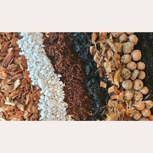 May include: A close-up of a variety of soil amendments for plants, including bark chips, white pebbles, brown potting soil, charcoal, coconut coir, and clay pebbles.