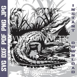 Alligator Vector Art & Laser Cut Files | SVG, DXF, PNG | Cricut, Laser, Glowforge Ready - Digital Download
