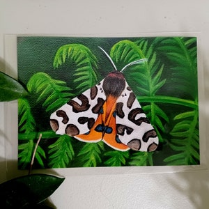Tiger Moth Prints