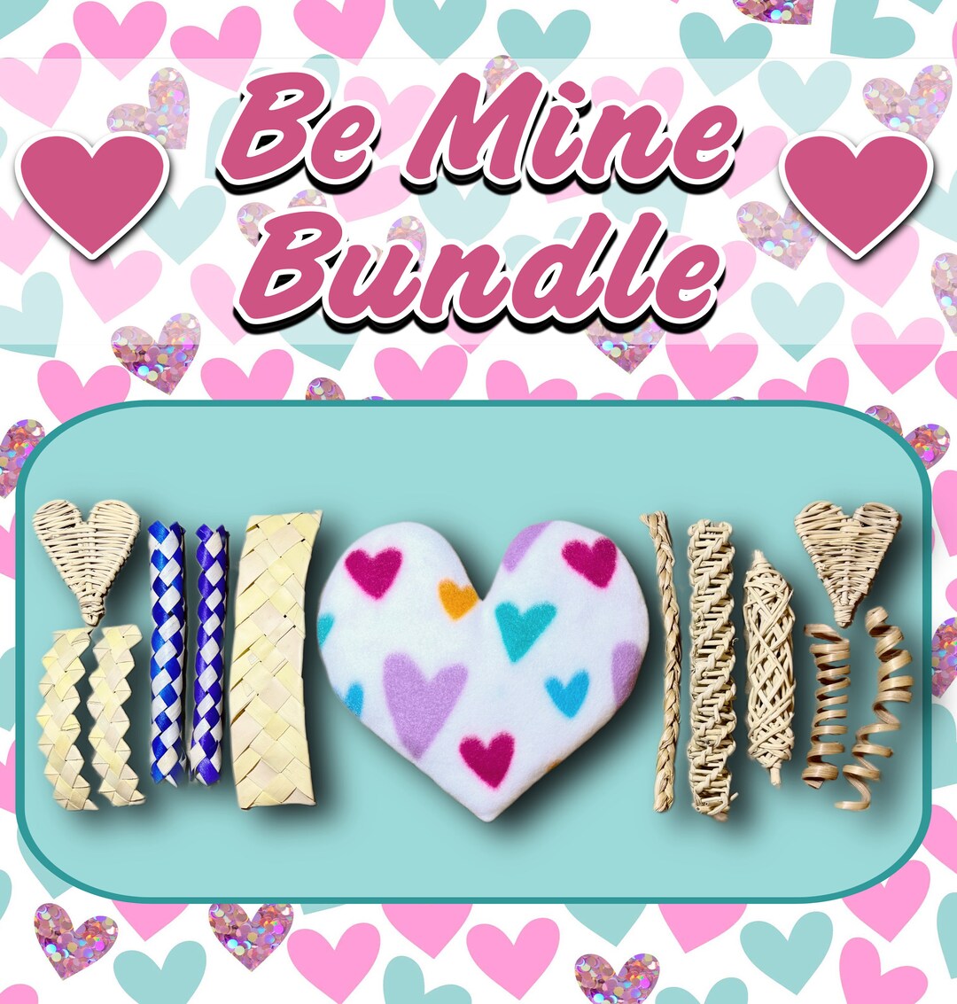 13 Piece BE MINE BUNDLE Pillow & Chew Toy Set Anti Pill Blizzard Fleece