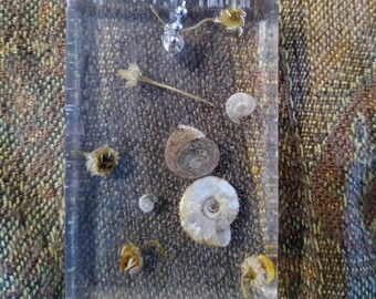 Real Snail Shells & Natural Chamomile Keychain