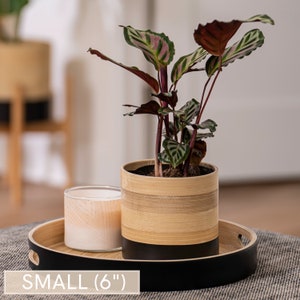 Plant Pots for Indoor Plants Large 10, Medium 8 or Small 6 Boho Plant Pots, Modern Planters. Perfect Plant Mom Gift. image 10