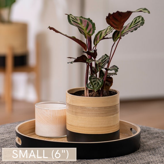 Plant Pots for Indoor Plants - Large (10"), Medium (8") or Small (6") Boho Plant Pots, Modern Planters.  Perfect Plant Mom Gift.