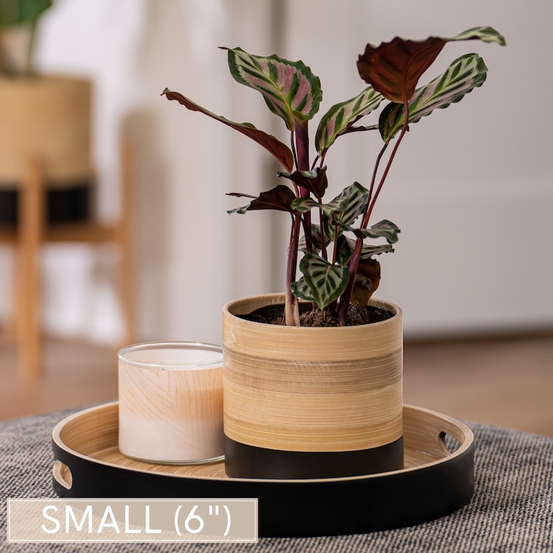 May include: A small, 6-inch diameter, round bamboo tray with a black rim. The tray has a white candle and a potted plant with green and red leaves in a bamboo pot with a black base.