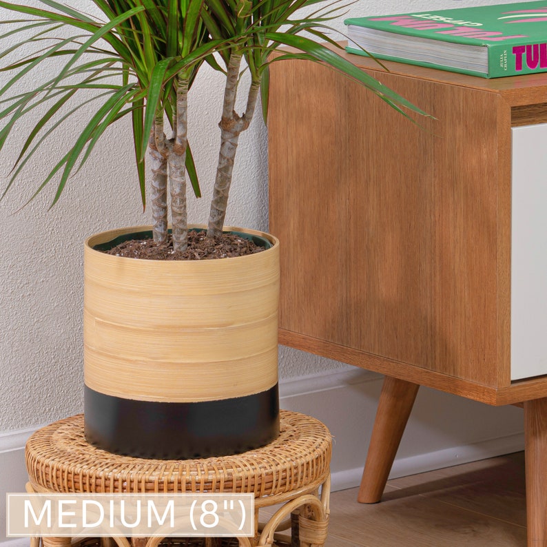 May include: A bamboo planter with a black bottom, holding a green plant with multiple stems. The planter is 8 inches in diameter and is sitting on a woven wicker stool.