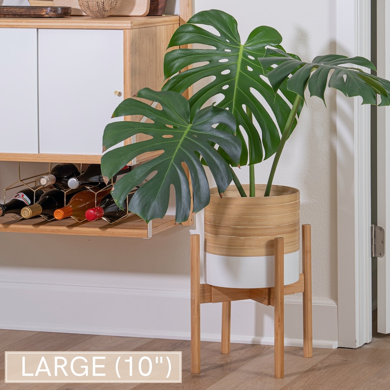 May include: A large, 10-inch diameter, white and natural bamboo planter with a monstera plant. The planter is on a bamboo stand with four legs.