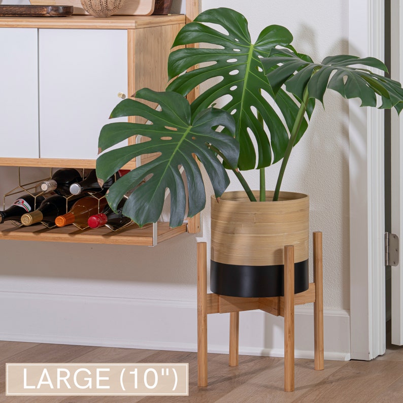 May include: A large, 10-inch diameter, black and natural bamboo planter with a monstera plant. The planter sits on a wooden stand with four legs.