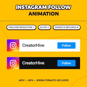 Instagram Follow Button Animation, Social Media Lower Third, Animated Instagram Overlay, Digital Download