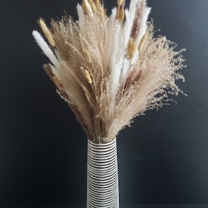 Dried Natural Pampas Bouquet Bundle - Natural Color