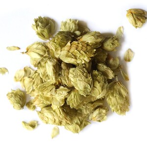 Puede incluir: Vista superior de lúpulo seco, un ingrediente clave en la elaboración de cerveza. El lúpulo es de color verde pálido y tiene forma de cono. Algunos pétalos sueltos están esparcidos alrededor del montón de lúpulo sobre un fondo blanco.