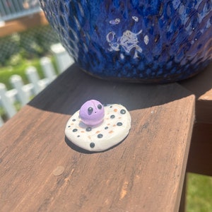 Frog trinket dish, cute trinket dish, frog ring dish, ring dish, frog gift, cute gift, frog ring dish, polymer clay frog, frog dish, frog.