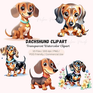 Watercolor Dachshund clipart – Dachshund portrait, Dachshund png, Wiener dog, Dog Clipart, Dachshund Sublimation, Mixed Media