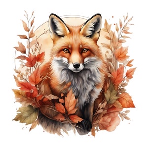 Clipart renard - 12 PNG de haute qualité, renard des bois, clipart aquarelle, téléchargement numérique, Papercraft, techniques mixtes, Transparent, Clipart floral