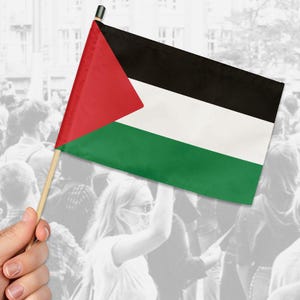 Palestine Hand Flag Double Sided Save Palestine Free Palestine Palestinian Support Stand With Palestine Flag Activist Gift Political