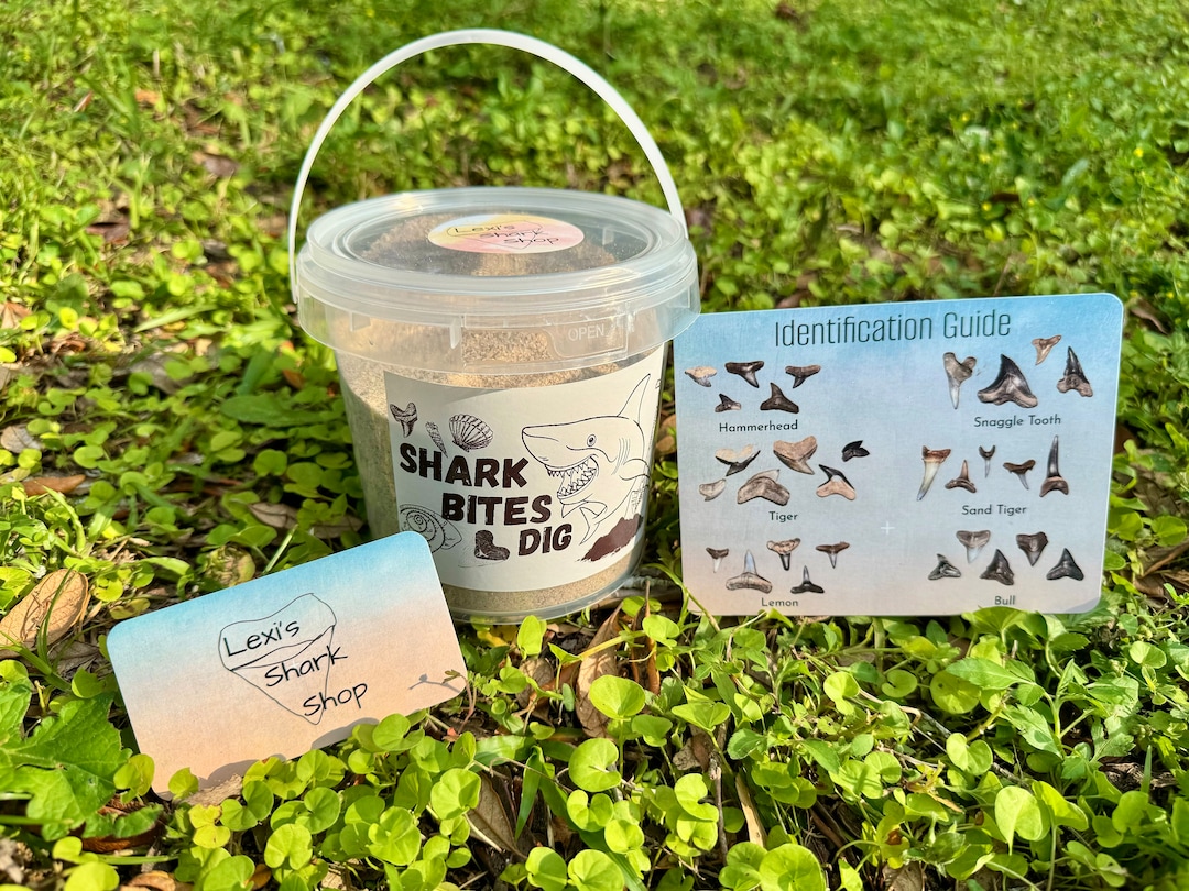 SHARK BITES DIG, Great Way to Journey Through Time Sifting Through