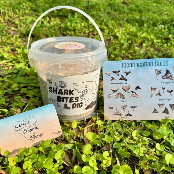 May include: A white plastic bucket filled with sand and shark teeth. The bucket has a label that says "Shark Bites & Dig". There is a small card that says "Lexi's Shark Shop" and a larger card that says "Identification Guide" with pictures of different shark teeth.