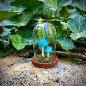 Mini Pixie Parasol Mushroom Terrarium, Handcrafted Oddity Decor, cottagecore, fairycore, home decor