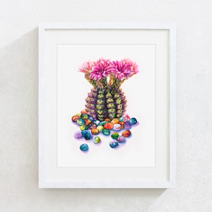 Original Watercolor Painting Print &#39;Spider Cactus & Rainflower Stone&#39;. Botanical art, nature art, botanical art, watercolor painting.
