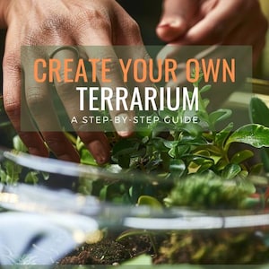Create Your Own Terrarium: A Step-by-Step Guide - Ebook - Digital Download