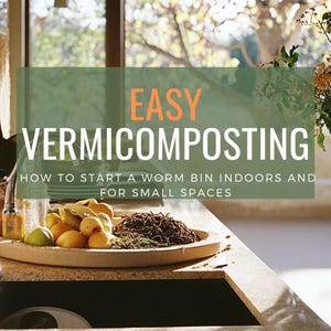 May include: A close-up of a kitchen counter with a bowl of fruit and a worm bin. The text "EASY VERMICOMPOSTING" is displayed in a green box above the bowl. The text "HOW TO START A WORM BIN INDOORS AND FOR SMALL SPACES" is displayed below the bowl. The text "FLOR + FABLE" is displayed at the bottom of the image.