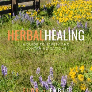 Pode incluir: Uma capa de livro com o título "Herbal Healing: A Guide to Safety and Contraindications" em texto laranja sobre um fundo verde com um campo de flores silvestres roxas e amarelas. O livro é publicado por Flor + Fable.