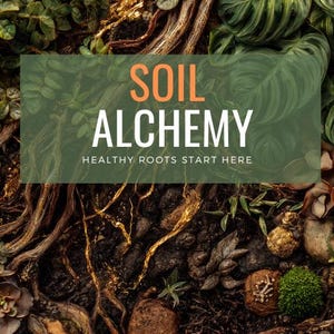 以下が含まれることがあります： 土、根、植物を写した芸術的な画像。「SOIL ALCHEMY」の文字がオレンジと白で表示され、その下に「HEALTHY ROOTS START HERE」と書かれています。画像の下部には「FLOR + FABLE」と書かれています。