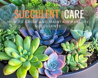 Succulent Care Guide eBook – The Ultimate Guide to Thriving Succulents | Digital Download